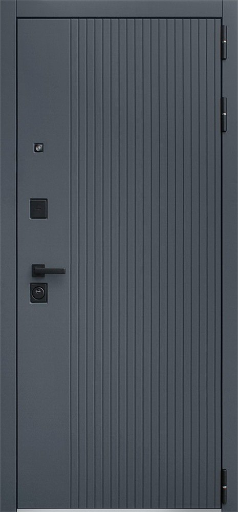 Товар Дверь Вертикаль DIS006699